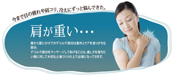 �W���W�����t�g�@�ڌ�