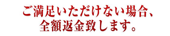 �W���W�����t�g�@�ڌ�